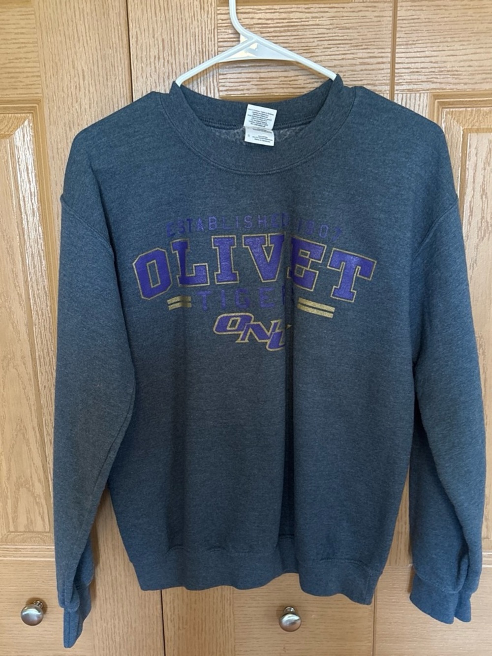 ONU Grey Crewneck Sweatshirt with Purple & Gold Logo